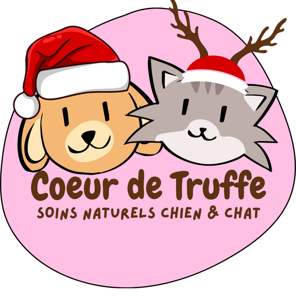 Coeur de Truffe