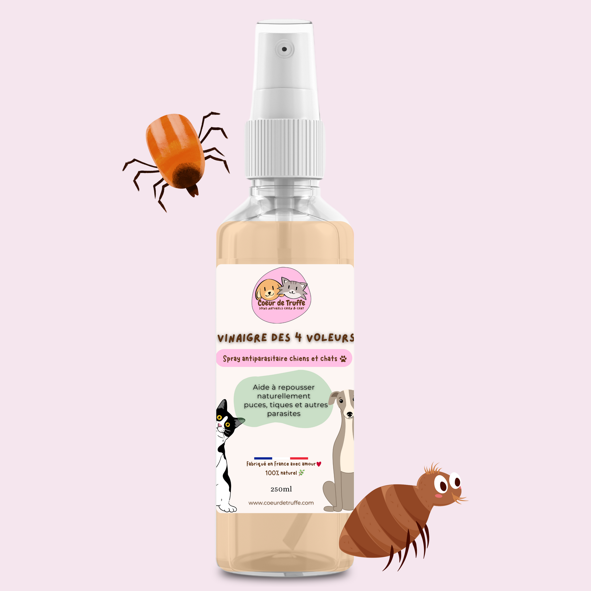 Spray antiparasitaire naturel 🦟