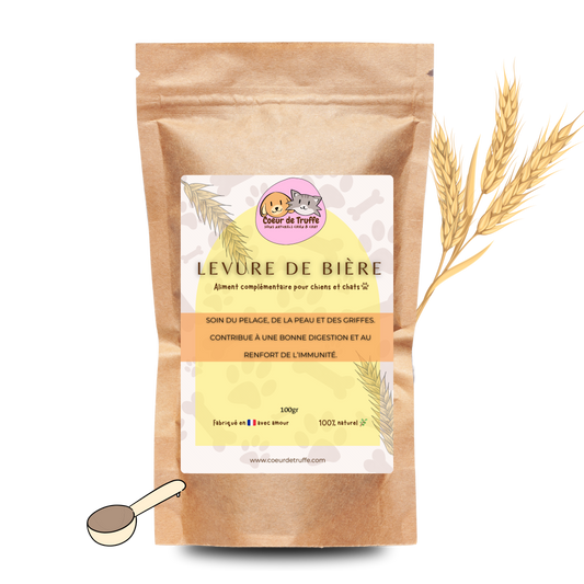 Complément "Levure de Bière" 🌾